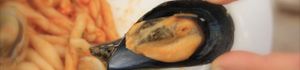 Cucina e Gastronomia Salento