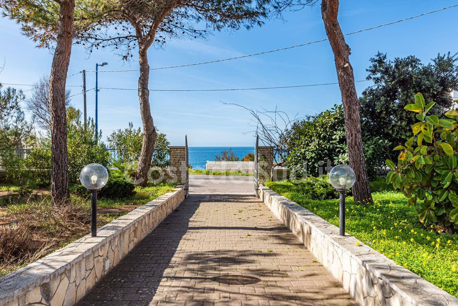 Vista dal terrazzo (giardino ed il mare)