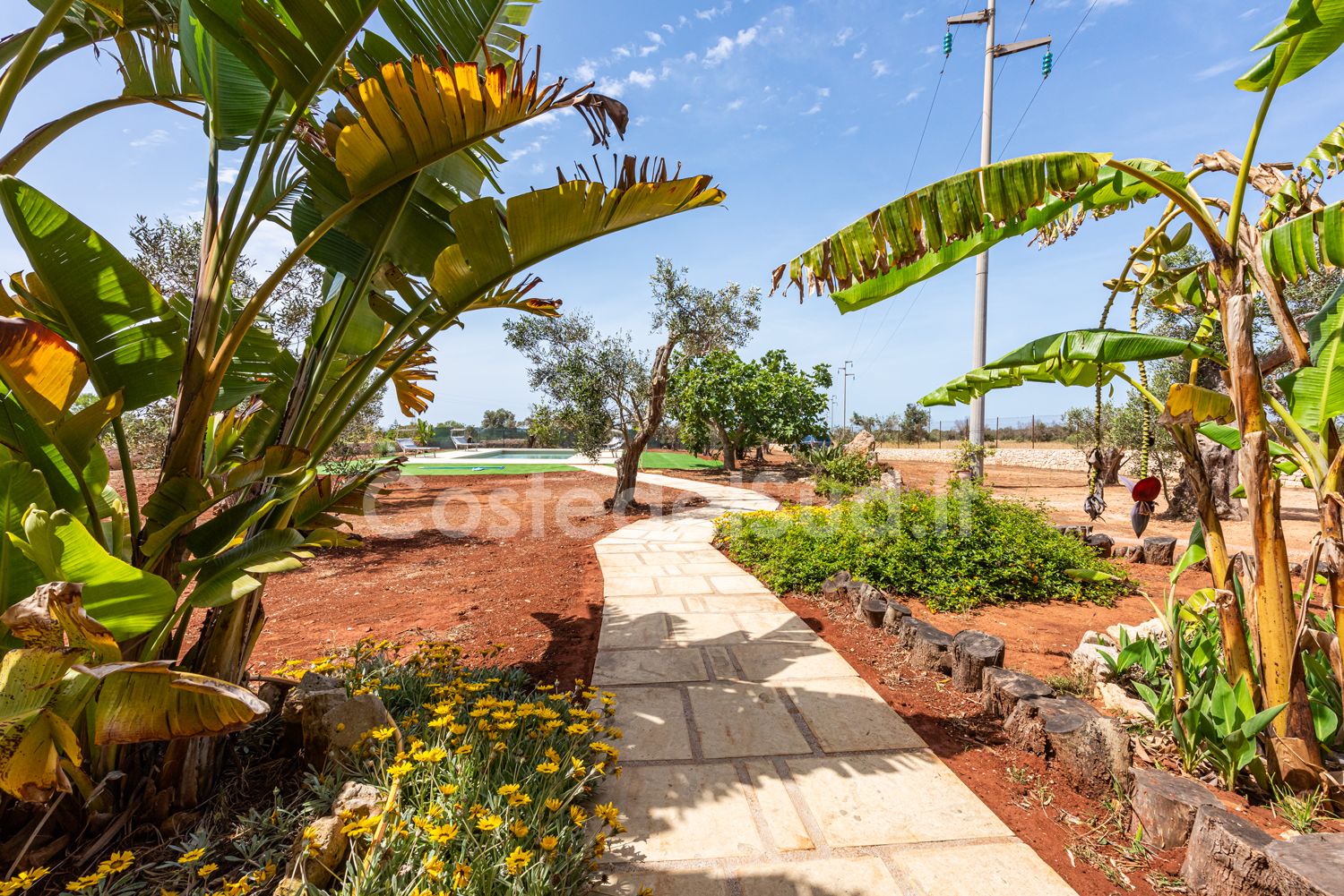 Il patio