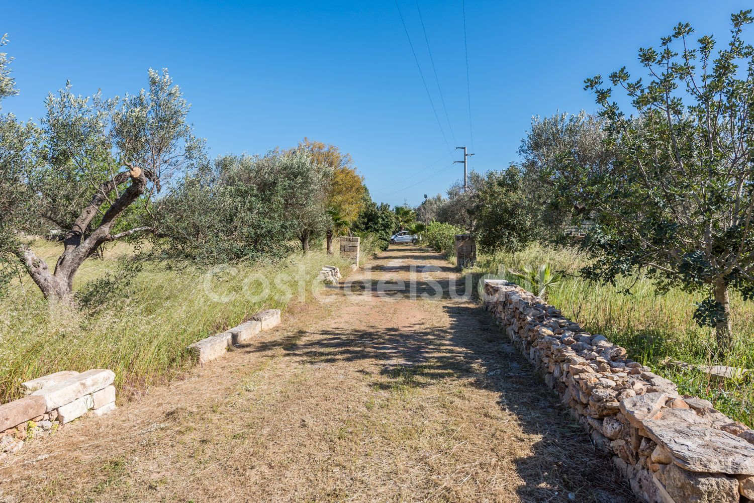 Vista dal portico