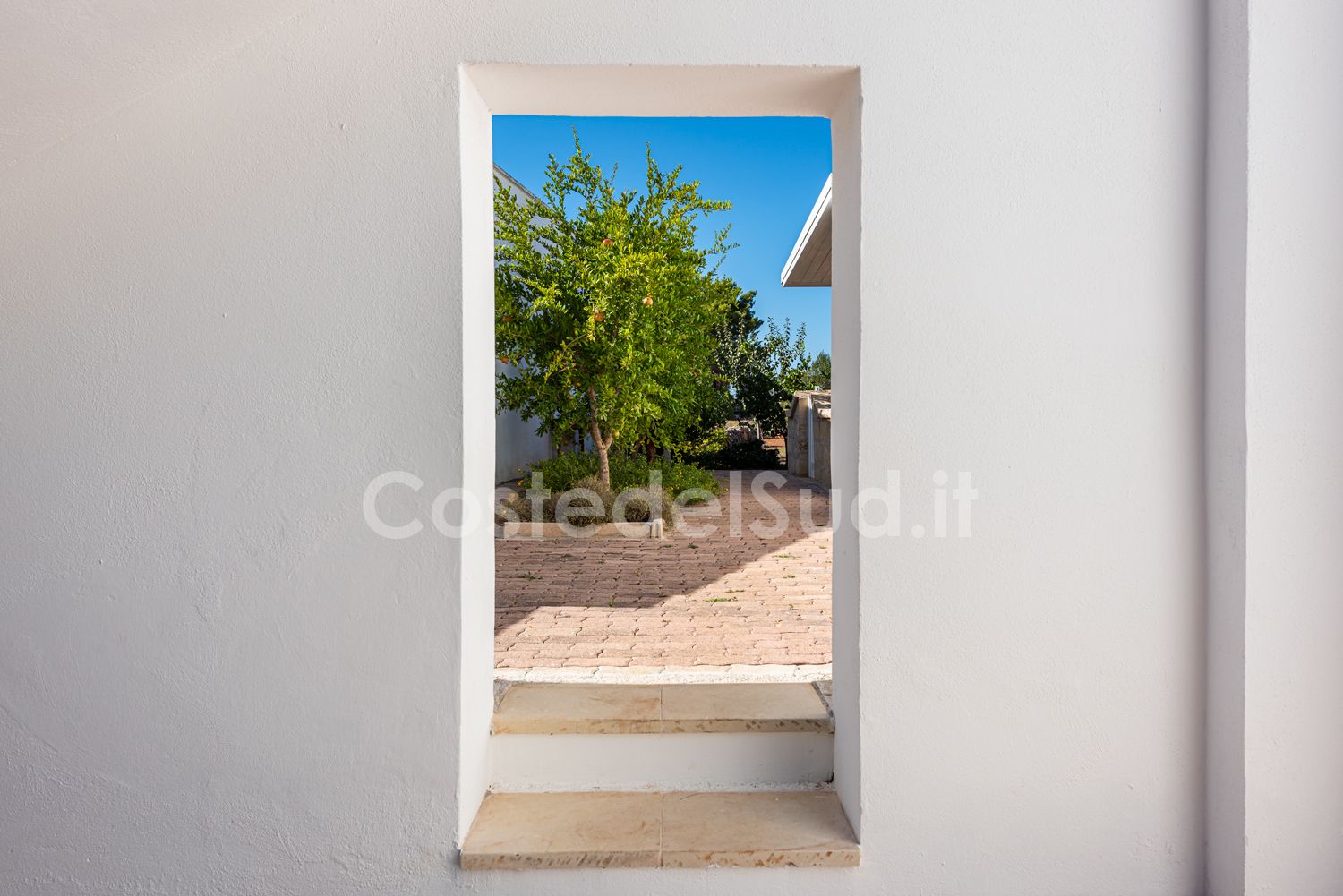 Vista laterale