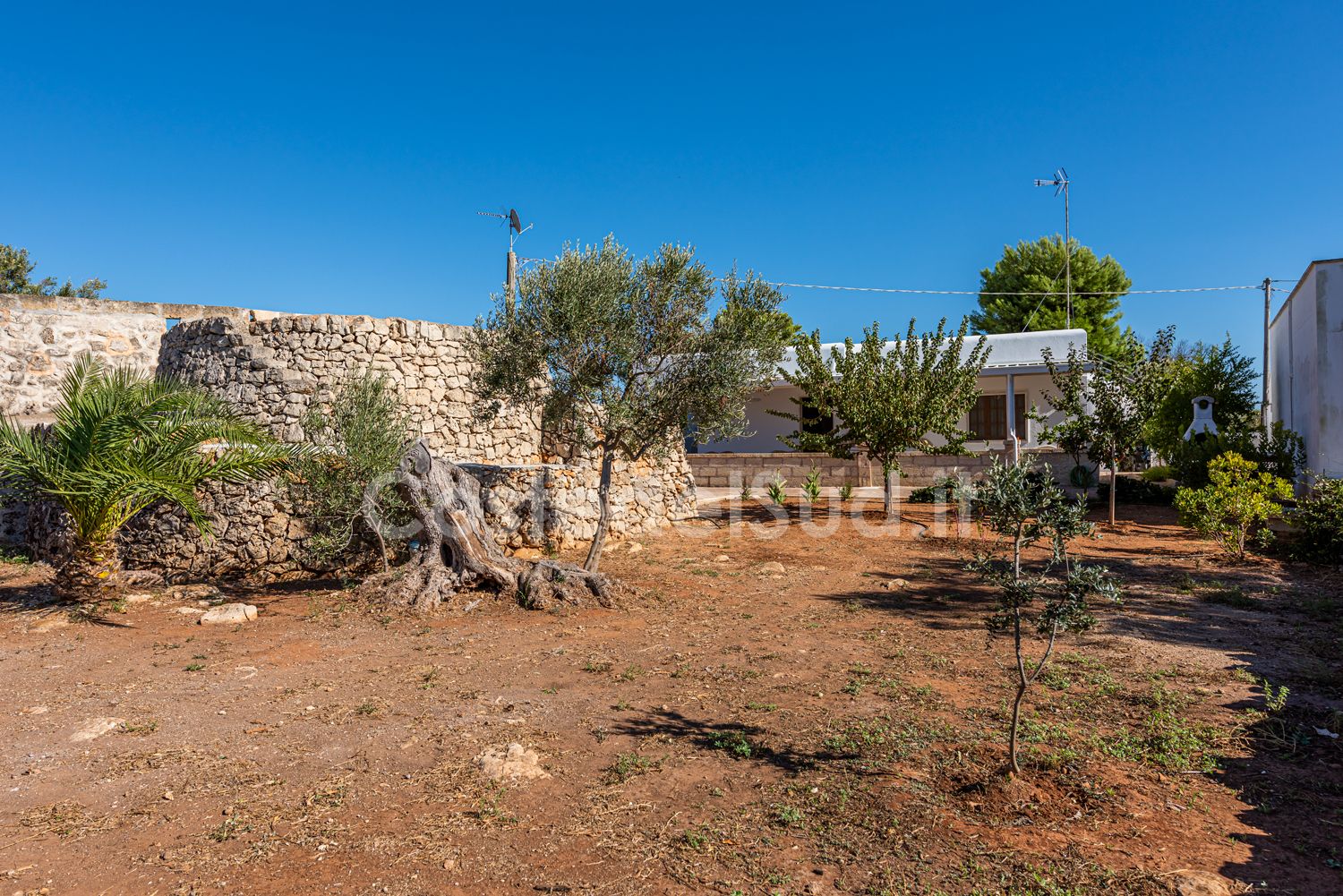 Il giardino