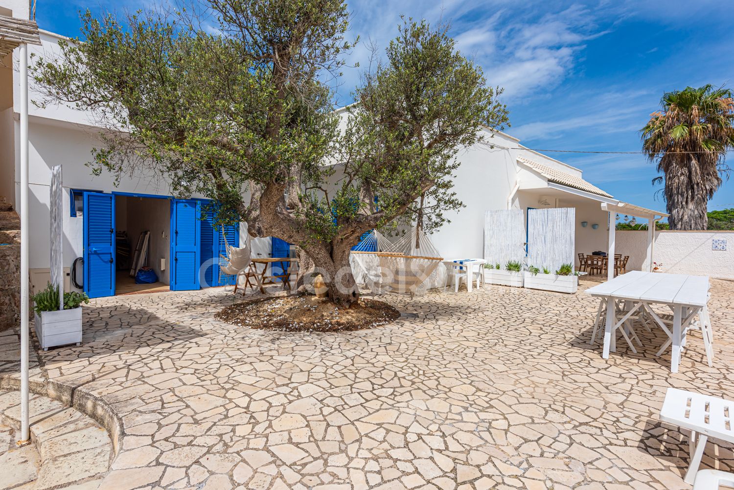 -