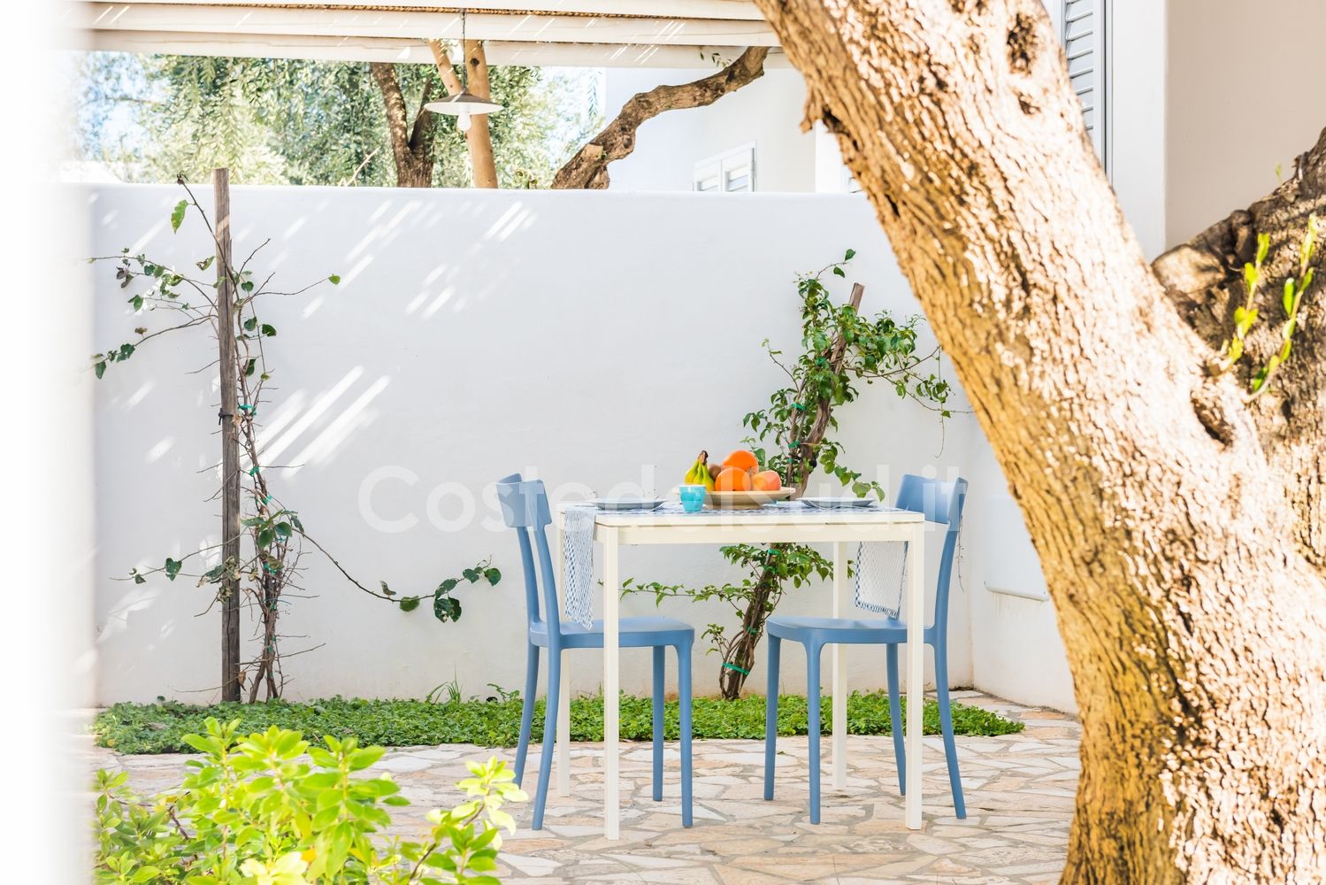 Fronte villa