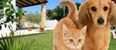 Case Vacanza Animali Ammessi