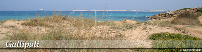 gallipoli macchia mediterra