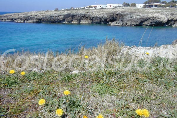 Casa Vacanze riferimento capilungo-lacosta