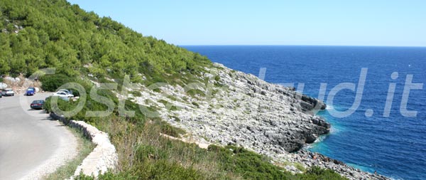 FOTO corsano IMAGES