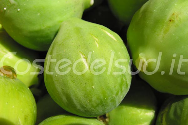 salento-fichi, fioroni
