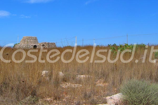 salento trullo e campagna in estate