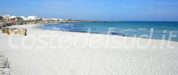 FOTO sanfoca IMAGES