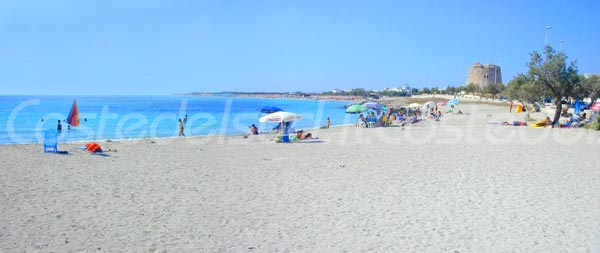 FOTO torremozza IMAGES
