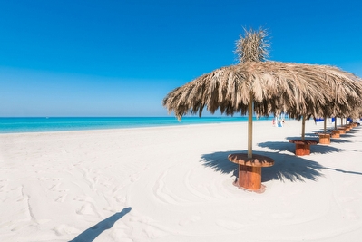 La Casa sulla Spiaggia a 100 metri dal Mare e dal Centro Torre San Giovanni