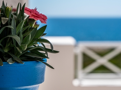 Attico Fronte Mare Vista Solarium Esclusivo - Residence Salento Torre San Giovanni - Foto 17