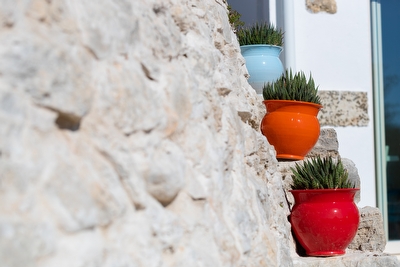 Trullo e abitazione tipica salentina con piscina esclusiva Pescoluse - Foto 24