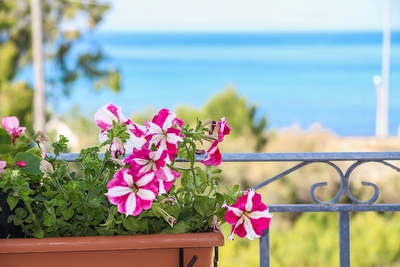 Appartamento Vista mare in centro Torre Vado - Foto 25