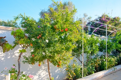 Appartamento nuovo ben arredato con mare nelle vicinanze. Torre San Giovanni - Foto 23