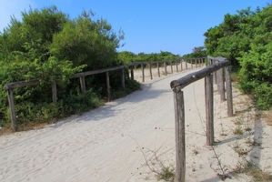 Villetta sulla spiaggia indipendente con giardino Torre San Giovanni - Foto 18