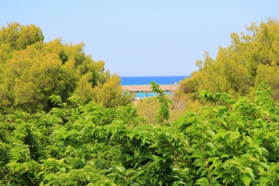 Villetta sulla spiaggia indipendente con giardino Torre San Giovanni - Foto 16