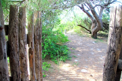 Villetta sulla spiaggia indipendente con giardino Torre San Giovanni - Foto 17