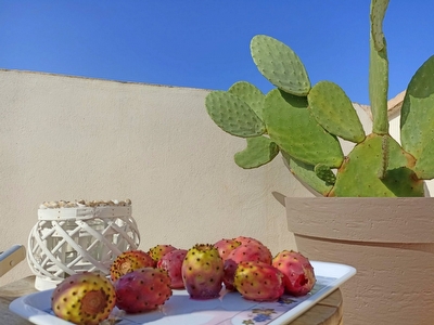 Appartamento in centro con posto auto e ampi spazi esterni. Torre San Giovanni - Foto 24