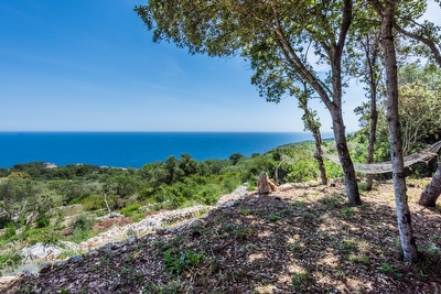 Villetta vista mare con Jacuzzi Marina di Novaglie - Foto 23