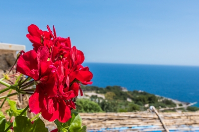 Villetta vista mare con Jacuzzi Marina di Novaglie - Foto 25