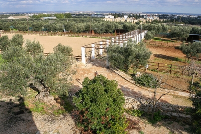 Splendido Trullo con piscina (comune) Torre Suda - Foto 16