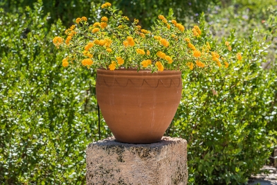 Villetta in parco con piscina comune Torre Suda - Foto 4
