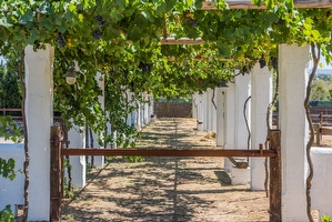 Villetta 2 camere con piscina condivisa Torre Suda - Foto 5