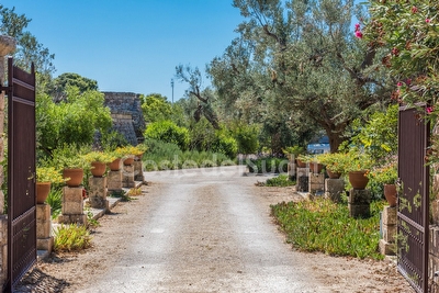 Bilocale con piscina condivisa Torre Suda - Foto 2