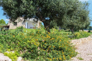 Villa con parco verde e ampi spazi  Torre Vado - Foto 12