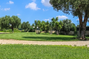 Trullo 3 camere ampio spazio esterno con giardino Torre Vado - Foto 7