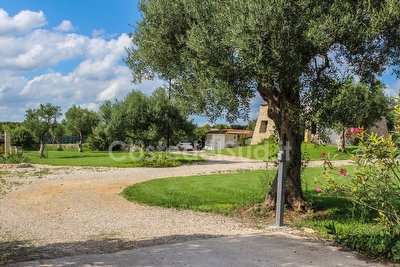 Trullo 3 camere ampio spazio esterno con giardino Torre Vado - Foto 4