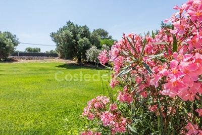 Trullo inserito in contesto con giardino Torre Vado - Foto 7