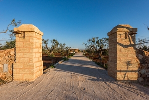 Affascinante pajara/monolocale immerso nella campagna Salentina Torre Suda - Foto 3