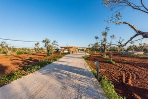 Affascinante pajara/monolocale immerso nella campagna Salentina Torre Suda - Foto 4