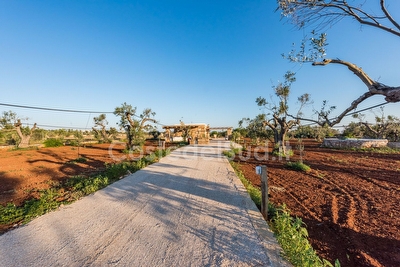 Affascinante pajara/monolocale immerso nella campagna Salentina Torre Suda - Foto 4