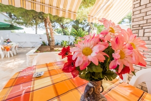 Villa 5 camere, Fronte mare con ampio spazio esterno e giardino Torre Suda - Foto 17