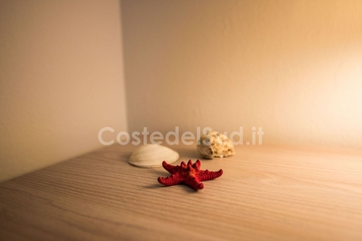 Appartamento ben arredato a pochi metri dal mare Torre San Giovanni - Foto 15