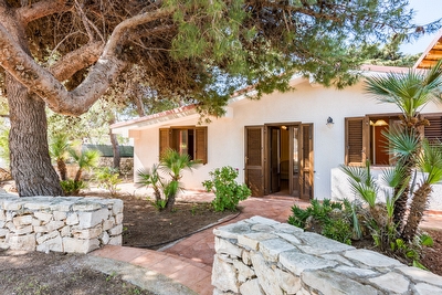 Villetta con quattro posti letto all'ombra di due grossi pini secolari.