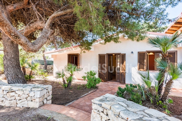 Villetta con quattro posti letto all'ombra di due grossi pini secolari.