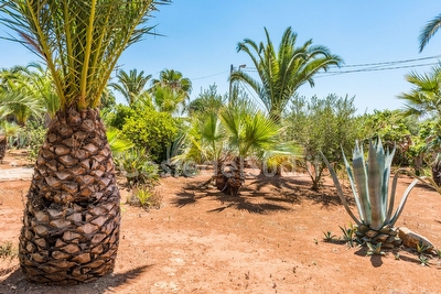 Villa con piscina comune,  giardino mediterraneo a pochi metri dal mare Posto Rosso - Foto 10