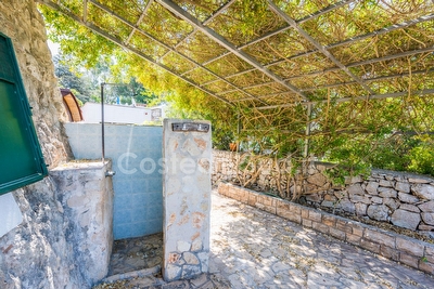 Trullo immerso nel verde e nella tranquillita' di pescoluse Pescoluse - Foto 24