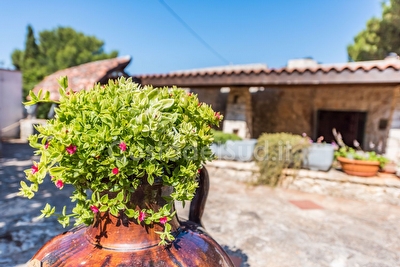 Trullo immerso nel verde e nella tranquillita' di pescoluse Pescoluse - Foto 6