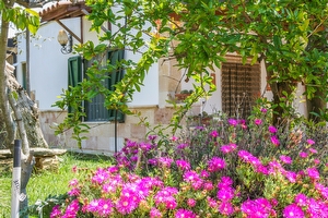 Casa Vacanza 1243 mobile