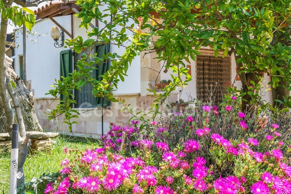 Appartamento immerso nel verde.