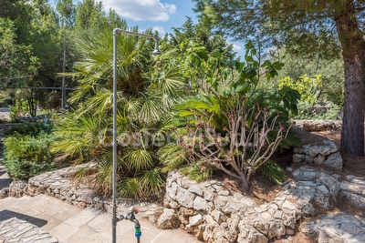Trullo caratteristico sulla collinetta di Pescoluse in zona tranquilla Pescoluse - Foto 30