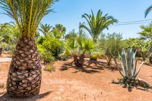 Giardino mediterraneo Villetta con piscina condivisa Posto Rosso - Foto 10