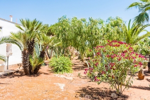 Giardino mediterraneo Villetta con piscina condivisa Posto Rosso - Foto 13